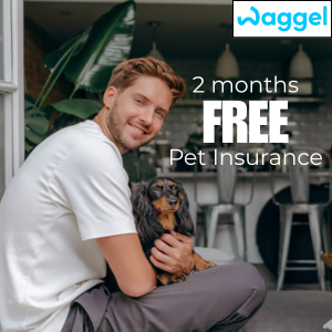 2 Months FREE Pet Insurance