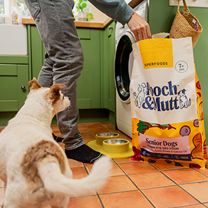 [Ad] Get 40% off your first subscription with Pooch & Mutt